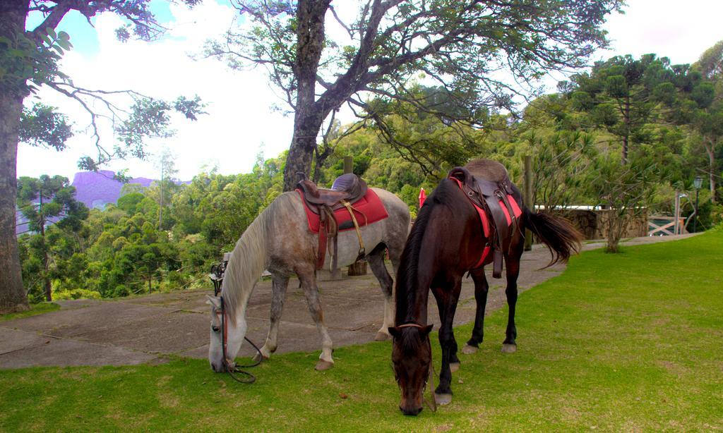 Pousada Marco Polo Campos do Jordão 外观 照片